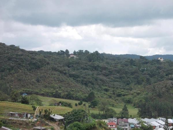 Hotel Chua Gin Cameron Highlands Dış mekan fotoğraf